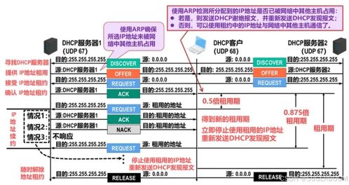 Windows系統(tǒng)管理基礎(chǔ) DHCP部署與安全及數(shù)據(jù)庫管理咨詢服務(wù)